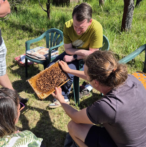 Bienen, Honig und Nachhaltigkeit – ein informativer Nachmittag in Altjeßnitz